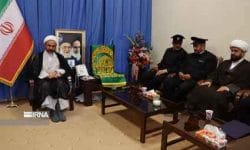 فرهنگ رضوی بهترین راهبرد برای مقابله با جنگ نرم دشمن است