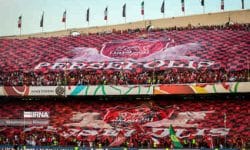 رئیس هیات مدیره پرسپولیس تغییر مدیرعامل باشگاه را تکذیب کرد