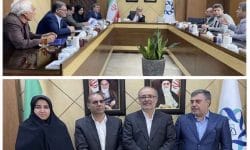 دیدار مجمع نمایندگان استان ایلام با رئیس صندوق توسعه ملی