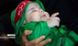 موجی که شیرخوارگان حسینی در جهان آفریدند *مرتضی نجفی قدسیI خادم قرآنی