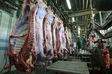 واردات ۳۲ هزار تن گوشت منجمد به کشور در سال تاکنون