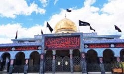 زینب(س)؛ پاسدار حریم رسالت * ناهید ابراهیمی