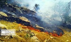 آتش سوزی منطقه حفاظت شده قلارنگ ایلام به طول کامل مهار شد