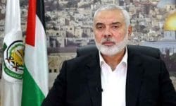 شهادت هنیه، جریان‌ مقاومت را منسجم و آزادی فلسطین را تسریع ‌می‌کند    *مهدی سیف تبریزی