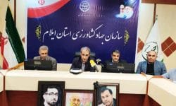 ۸۲ درصد مطالبات گندمکاران پرداخت شد
