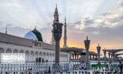 نسیم خوش بهاری با هجرتی تمدن‌ساز