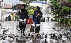 امروز، بارش پراکنده باران در ارتفاعات البرز مرکزی و ۳ استان