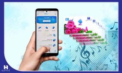 هدیه موزیکال و دیجیتال، خلاقیت تازه «سپینو»