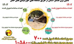 تامین برق ۷۰۰ خانوار عشایری از طریق پنل های خورشیدی
