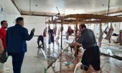 کشتار غیرمجاز دام در ایلام سلامت جامعه را به خطر میاندازد