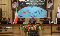 استاندار ایلام: دستگاههای دولتی یاریگر بخش خصوصی برای حمایت از تولید باشند