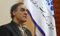 داور جشنواره مجازی حکیم فردوسی: این رویداد خلاء کمبود آثار برای جوانان را پر می‌کند