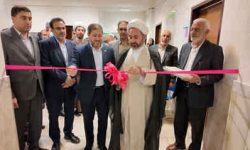 ۶۲ درصد پرونده‌های قضایی در شوراهای حل اختلاف ایلام منجر به صلح می‌شود