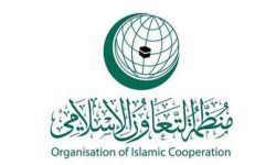 سازمان همکاری اسلامی تجاوز رژیم صهیونیستی به خاک ایران را به شدت محکوم کرد
