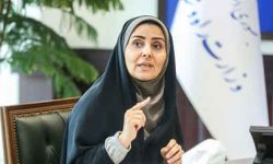 ۵۳ خانواده حادثه دیدگان معدن طبس در ۲ تا ۳ روز آینده صاحب خانه میشوند