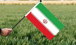 وزیر جهاد کشاورزی: بی‌نیازی از واردات گندم پشتوانه بزرگ برای حوزه دیپلماسی است