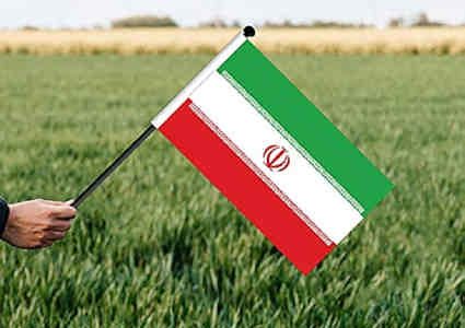 وزیر جهاد کشاورزی: بی‌نیازی از واردات گندم پشتوانه بزرگ برای حوزه دیپلماسی است