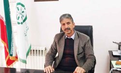توزیع  کود دی آمونیم فسفات در استان ایلام