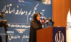نماینده مجلس: زنان توانمند در پستهای مدیریتی ایلام بکارگیری شوند