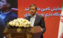 وزیر اقتصاد : امسال آخرین سال بنگاه داری بانک ها است