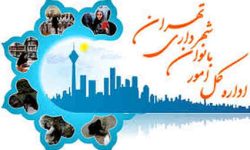 شورای شهر تهران با تشکیل مرکز زنان و خانواده موافقت کرد