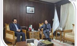 دیدار مدیرعامل بانک صادرات ایران با دبیر شورای عالی مناطق آزاد کشور