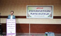 تلاش برای عدم قطع گاز صنایع کوچک در ایلام