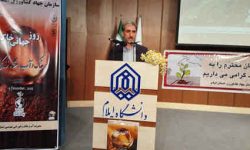 خُرد شدن اراضی کشاورزی ایلام تهدیدی جدی برای کشت مکانیزه است