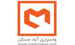 رکوردشکنی در افزایش سرمایه شرکت‌های لیزینگ ایران توسط شرکت واسپاری آباد مسکن