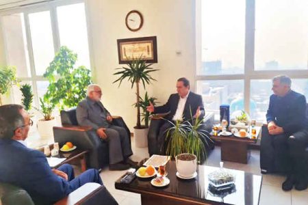 ایجاد کارگاه‌های آموزشی تولیدی و محصول محور برای مددجویان استان  ایلام