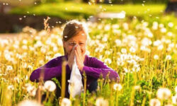 برای مقابله با آلرژی بهاری از همین حالا اقدام کنید
