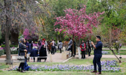ایلام در رشد گردشگر نوروزی استان برتر شد