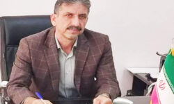 توزیع بیش از ۴۸ هزار تن کود شیمیایی بین کشاورزان ایلام در سال گذشته