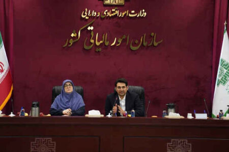 سخنگوی دولت: برای کسانی که مالیات خود را به موقع می‌پردازند از ابزارهای تشویقی استفاده شود