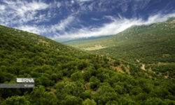 عروس دلربای زاگرس کجاست؟