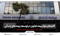 گام های مؤثر بیمه تعاون در توسعه بیمه های زندگی