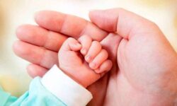 تکرار تراژدی رها کردن نوزاد در سطل زباله: زنگ خطر برای جامعه و نهادهای مسئول