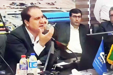 هم‌افزایی دولت و مجلس کلید حل  مشکلات و رفع موانع تولید است/ با بررسی بیشتر و کار کارشناسی پتروشیمی دهلران تعیین‌تکلیف شود