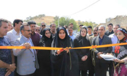 نماینده ایلام: نقش بنیاد مسکن در آبادانی روستاها مثالزدنی است