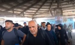فیلم / گامهای عاشقی زائران اربعین در پایانه مرزی مهران