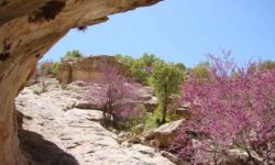 دره ارغوان ایلام: نگین سبز در محاصره بی‌مهر ی!   ✍️ عبدل خزلی