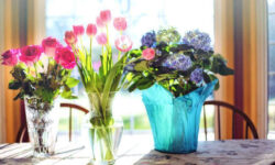 چگونه دسته گل طبیعی را برای مدت بیشتری حفظ کنیم