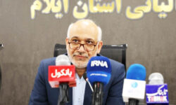 رشد چشمگیر درآمدهای مالیاتی ایلام در سال گذشته