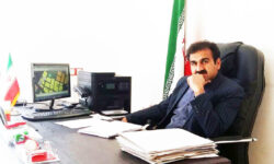 خدمات و اقدامات عمرانی شهرداری دره شهر گامی مؤثر در ارتقاء کیفیت زندگی شهروندان + گزارش تصویری