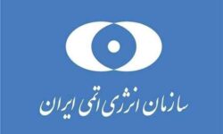 تهران به انپیتی و موافقتنامه پادمان متعهد است/ آژانس تسلیم فشارهای سیاسی نشود