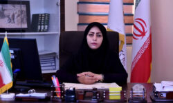 بخشودگی دیرکرد کتاب در کتابخانه های ایلام