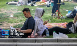 فراغت از هیاهو؛ چگونه تنهایی به اعضای خانواده قدرت میبخشد؟