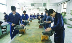 ۱۲ هزار ایلامی آموزش‌های فنی و حرفه‌ای کسب کردند