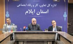 از مزرعه تا معدن؛ ثبت سه هزار و ۵۰۰ تعاونی در ایلام