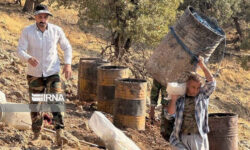 جنگل‌هایی که برای زغال می‌سوزند